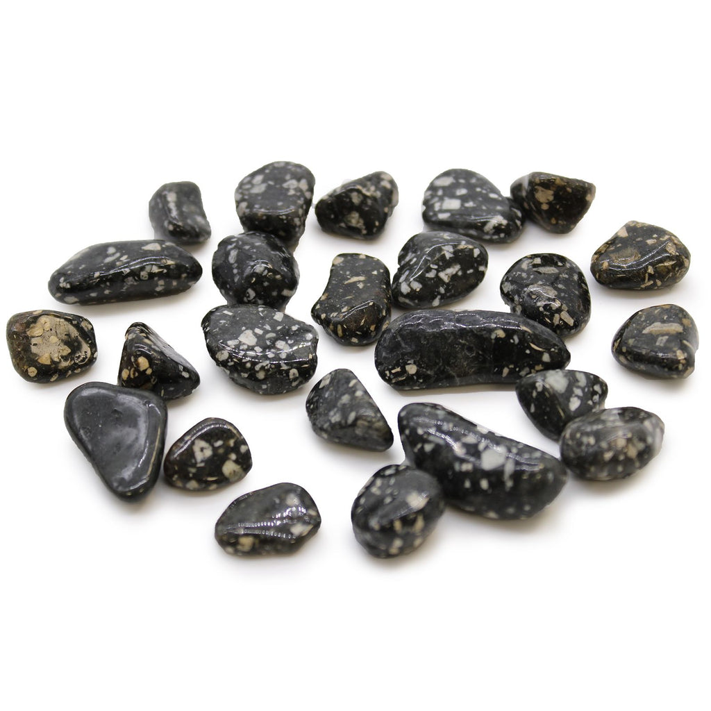 Pequeñas piedras africanas (pack de 24) - Gallina de Guinea