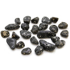 Pequeñas piedras africanas (pack de 24) - Gallina de Guinea