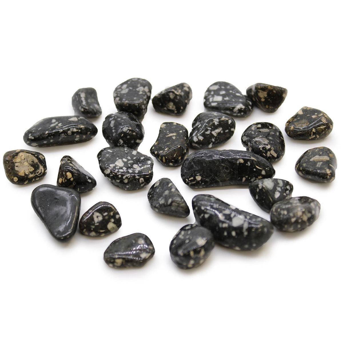 Pequeñas piedras africanas (pack de 24) - Gallina de Guinea