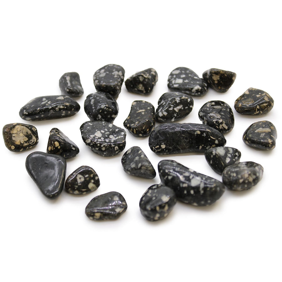 Pequeñas piedras africanas (pack de 24) - Gallina de Guinea