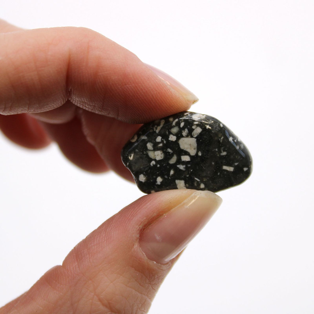 Pequeñas piedras africanas (pack de 24) - Gallina de Guinea