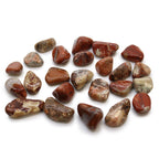 Pequeñas piedras africanas (pack de 24) - Jaspe claro - Brecciated