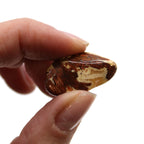Pequeñas piedras africanas (pack de 24) - Jaspe claro - Brecciated