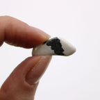 Pequeñas piedras africanas (pack de 24) - Howlita blanca - Magnesita
